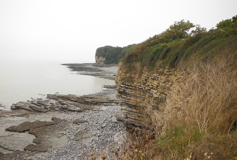  looking westwards along the coast 