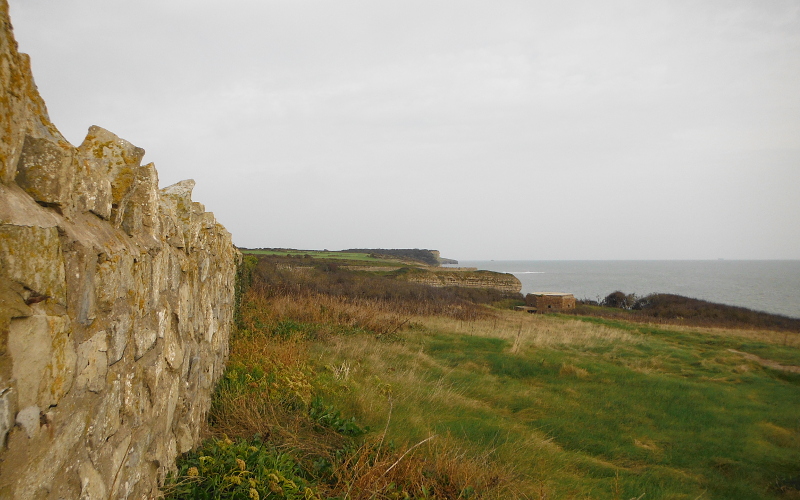  looking eastwards along the coast 