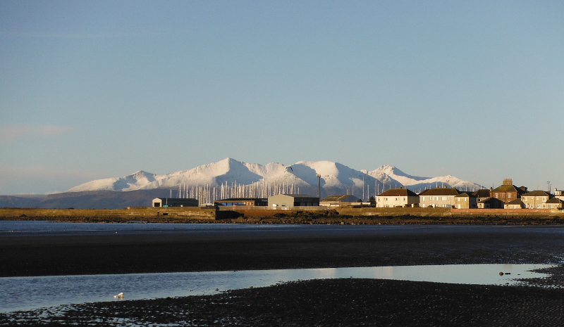  A very white Arran  