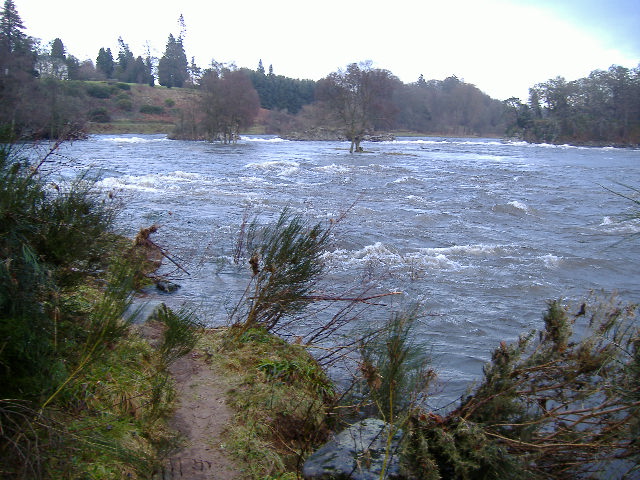 photograph taken looking up river towards the Linn at 3.6 metres