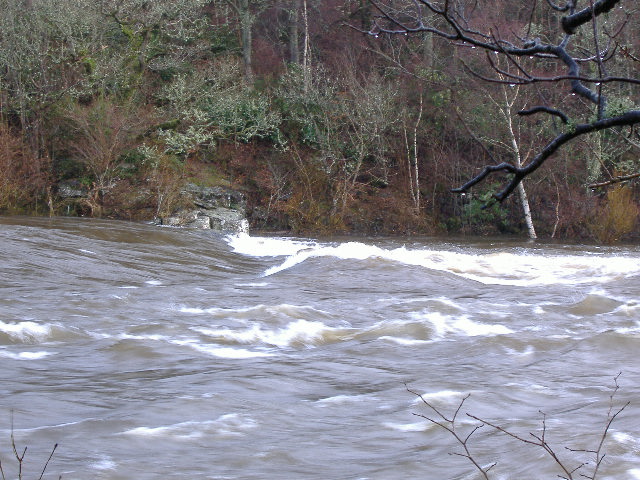 photograph of the wave river left wave at Thistlebrig