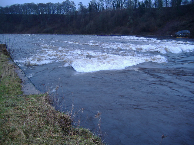 photograph of the chicken run down the weir