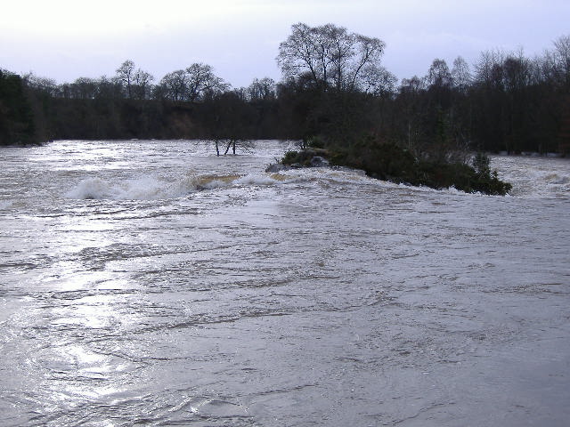 photograph of the pressure wave against the river right rocky island at the Linn