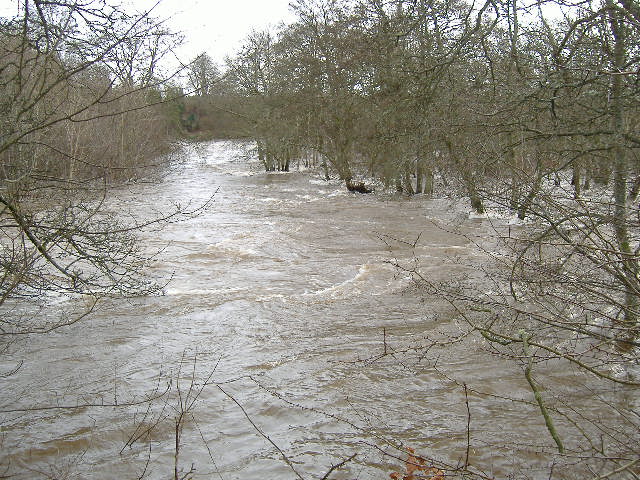 photograph of the bottom end of the Linn bypass